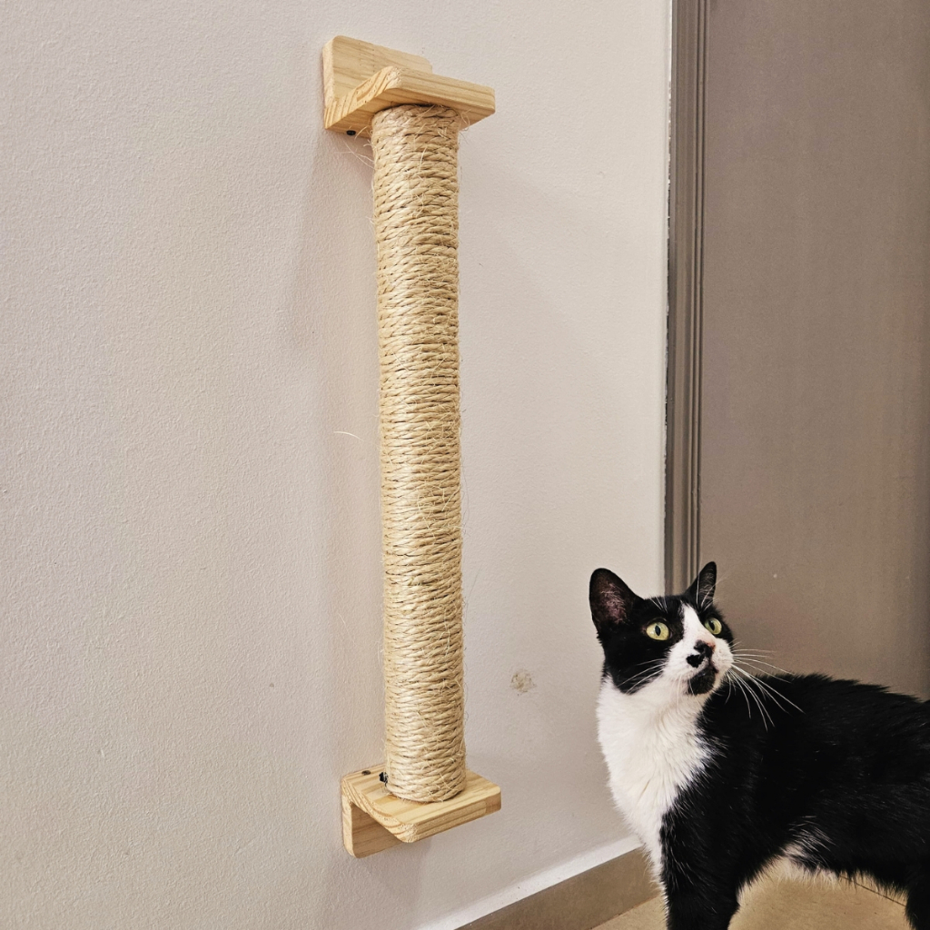 Arranhador Parede Gatos Vertical Sisal Poste Brinquedo Pet Para Casa Felino em Oferta na Shopee