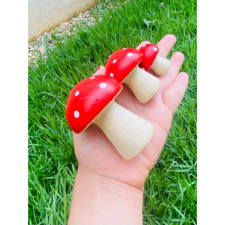 Miniatura Trio de Cogumelos Terrário Decoração de Jardim em Oferta na Shopee