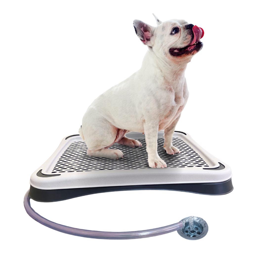 Banheiro Sanitário Com Dreno E Mangueira Lavável Para Cães - PequenosPets Original