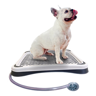 Banheiro Sanitário Com Dreno E Mangueira Lavável Para Cães - PequenosPets Original em Oferta na Shopee