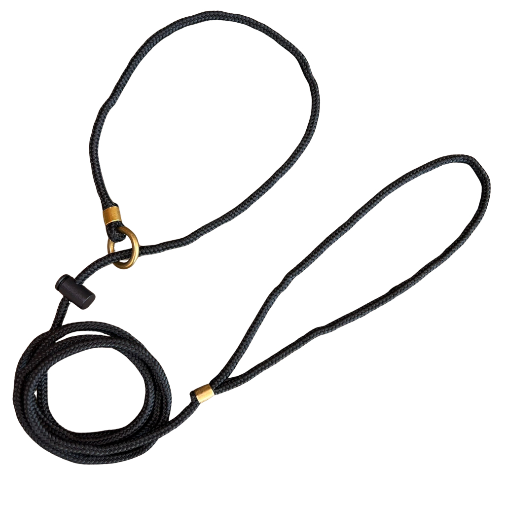 Guia Coleira Para Cachorro Adestramento Unificada Anti Puxao 185cm com Trava Limitador PETSPACE em Oferta na Shopee