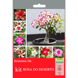 100 Tipos Rosa do Deserto Raras Triplas/ Dobradas Sortidas em Oferta na Shopee