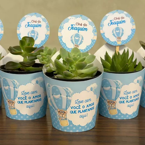 Rótulos Saia para Suculentas + Tag Personalizados para festas - Ursinho Aviador Baloeiro (pote06)