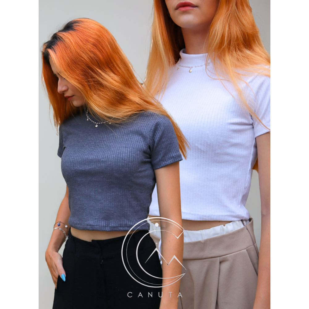 Kit com 2 Blusas Caneladas Feminina Basica Lisa Premium Gola Redonda Moda Gringa Estilosa