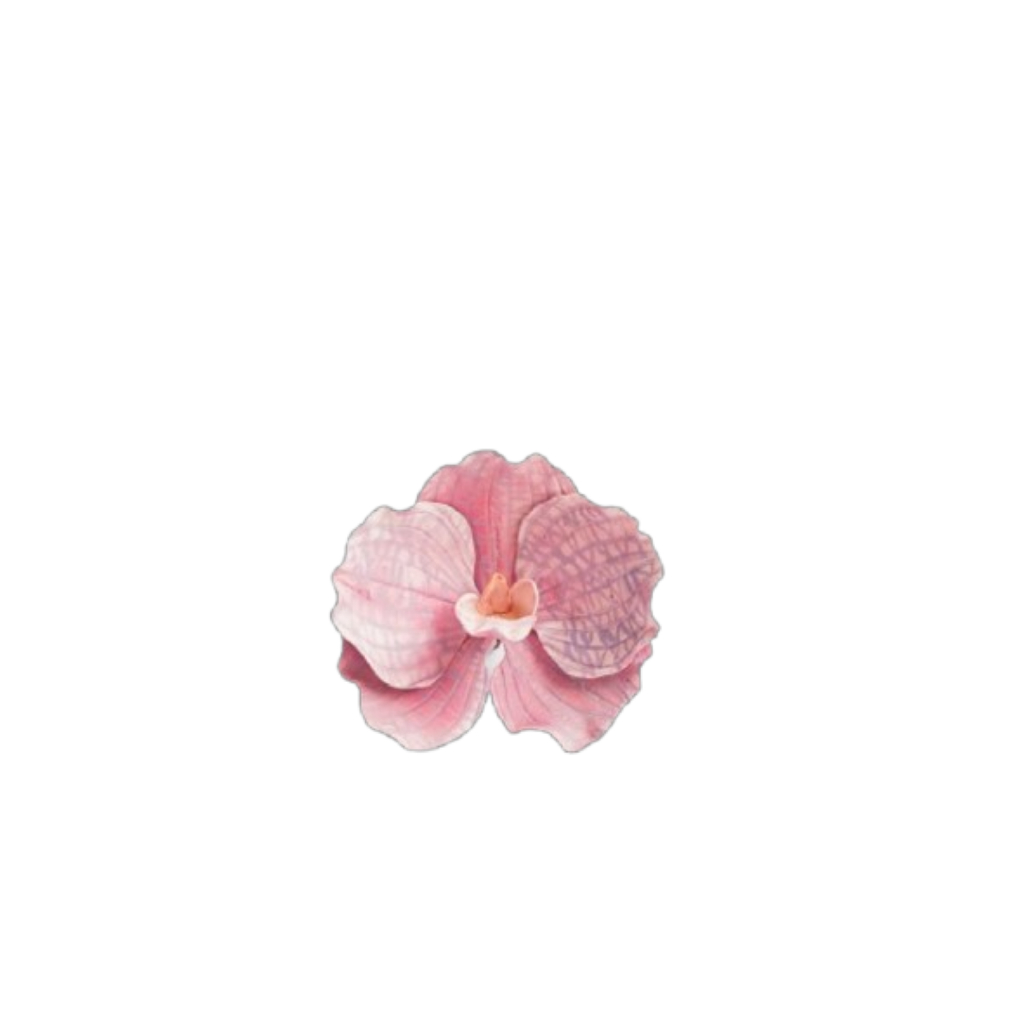 Kit cortador e marcador orquidea vanda