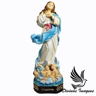 Imagem Nossa Senhora Imaculada Conceição 30cm Gesso Premium Pintado em Oferta na Shopee