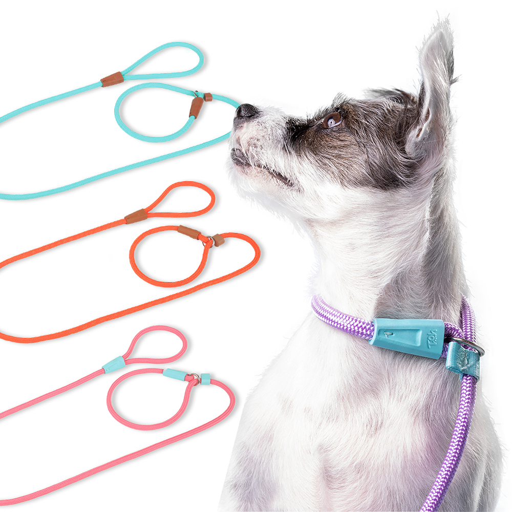 Guia Unificada 1,10m Cachorro Cabo Nautico 8mm Adestramento Várias Cores Toh Cães Enforcad...