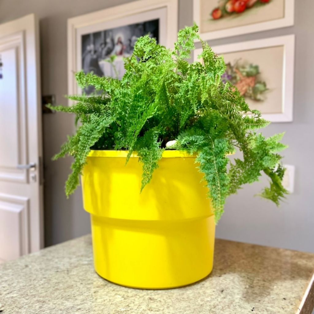 Vaso Plantas Autoirrigável Antidengue Flores Hortas Vaso c Cachepô Auto Irrigável Amarelo