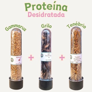 Kit proteínas desidratadas, tenébrio, gammarus e grilo, larva mosca soldado, roedores, hamster, peixes,aves,répteis em Oferta na Shopee