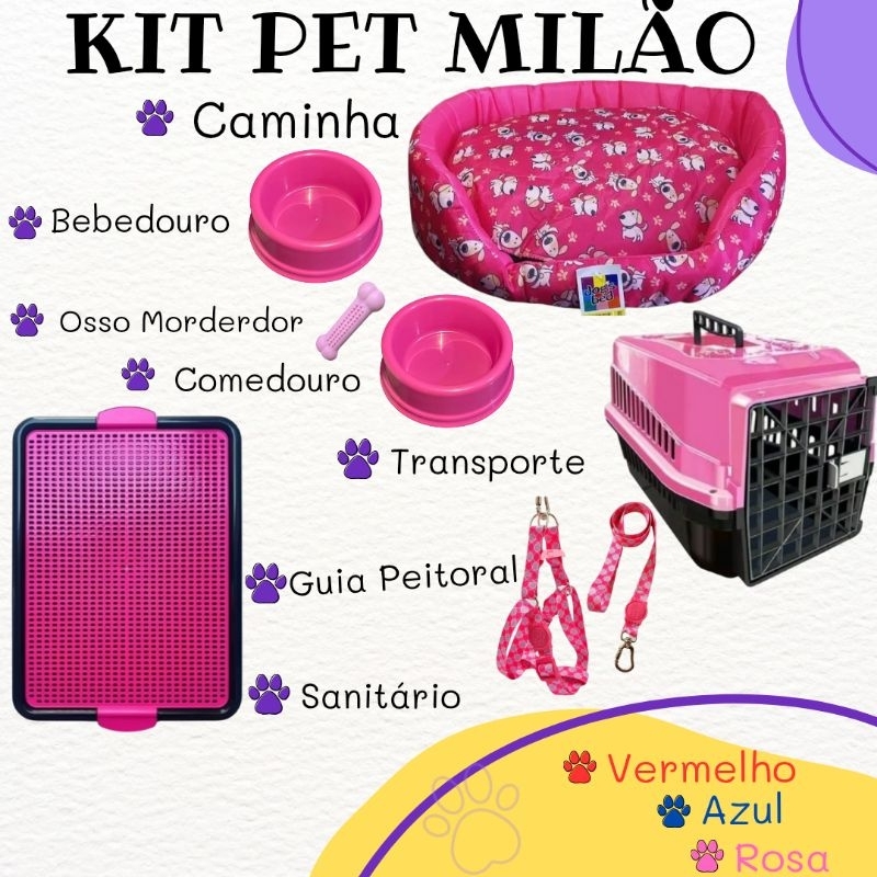 Kit Para Cachorro Pequeno Caixa de Transporte N2 Coleira Peitoral Pet