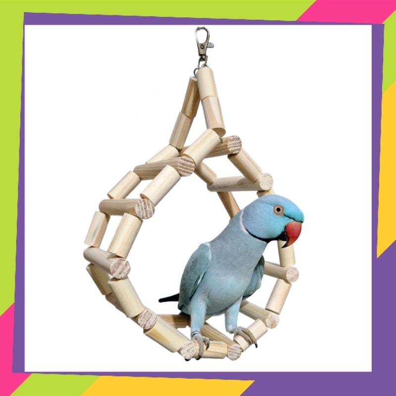 Viveiro Gigante Calopsita: Onde Comprar | BuscaProdutos