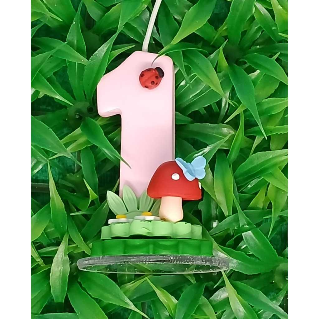 Cogumelos de Biscuit: Onde Comprar | BuscaProdutos