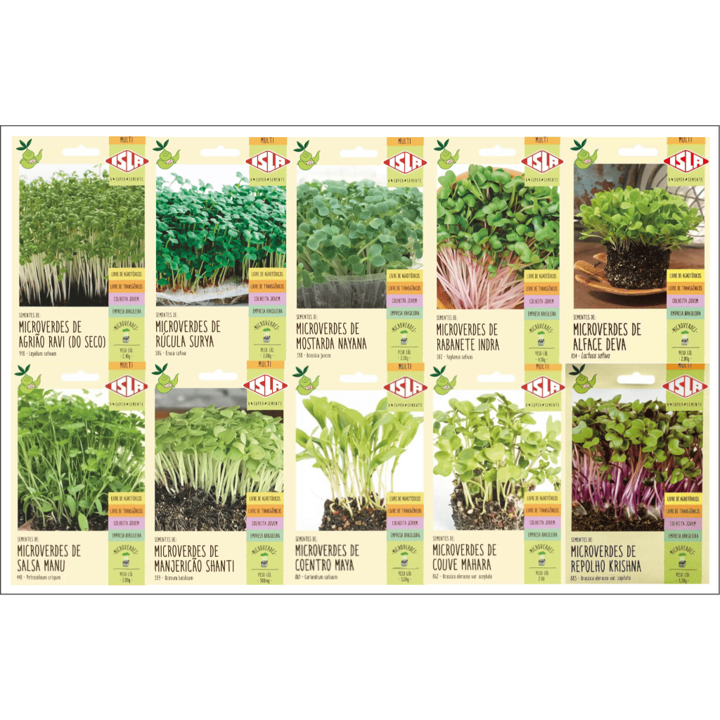 Sementes De Brotos E Microverdes Sem Agrotoxico 10 Envelopes