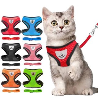 Guia Coleira de Malha Flexível com Colete Peitoral Ajustável para Cão Cachorro Gato Animais