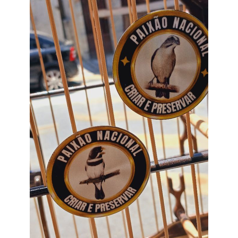 placas coleiro, pixarro e bigodinho em Oferta na Shopee