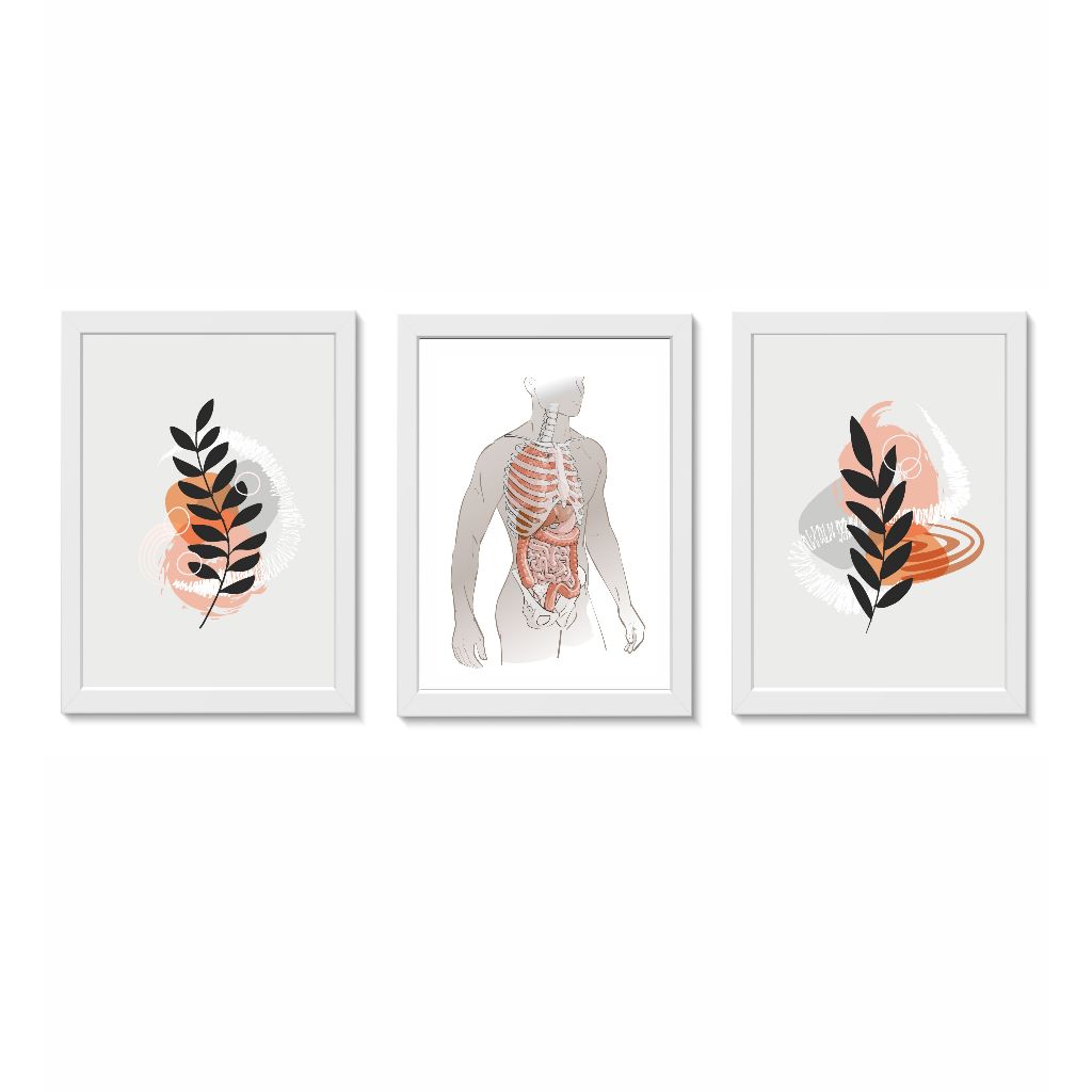 Kit 3 Quadros Decorativos Anatomia do Corpo Humano Folhas Medicina Consultório Molduras 20x30cm Madeira