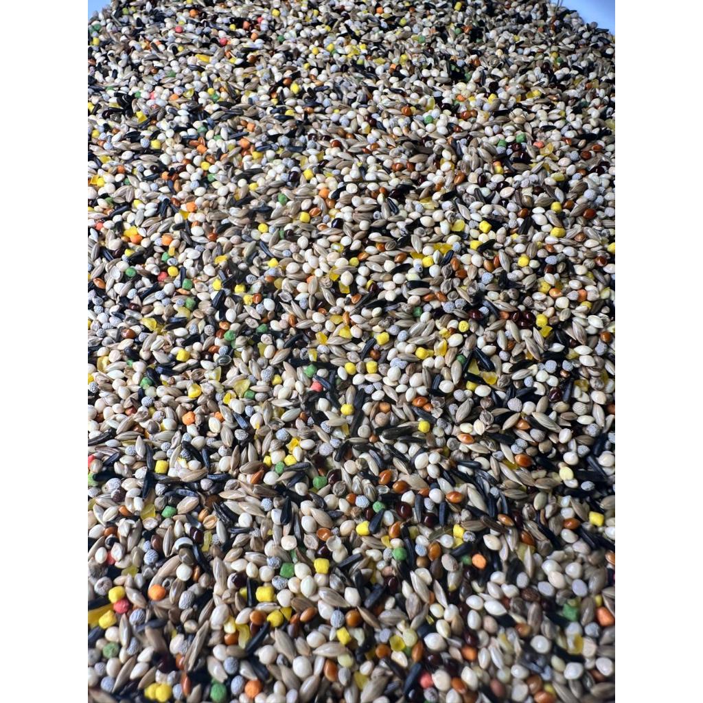 Paulinho da Ração: Onde Comprar | BuscaProdutos