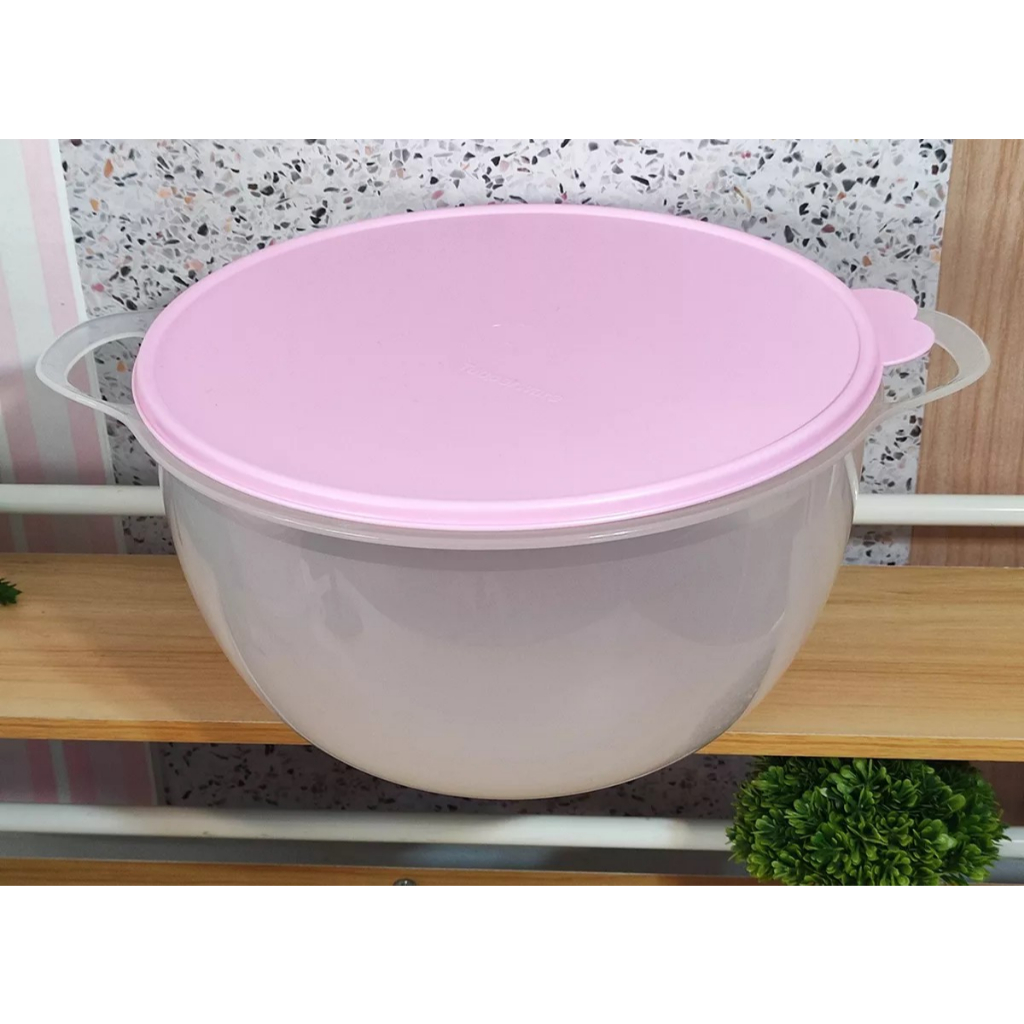 Criativa 10l Tupperware: Onde Comprar | BuscaProdutos