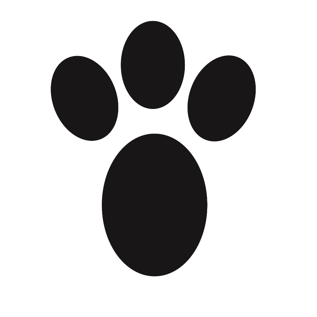 Adesivos decorativo para chão Kit 72 Patinhas Coelhinho Da Pascoa Para Brincar caça ao ovo para azulejo cozinha sala