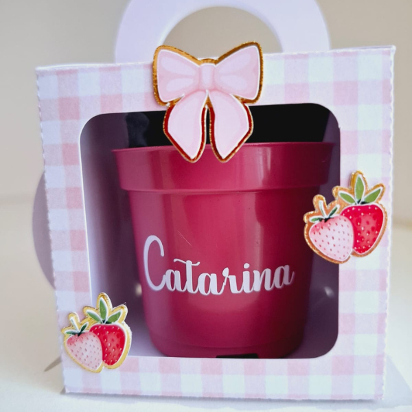 Kit Plantar Lembrancinha: Onde Comprar | BuscaProdutos