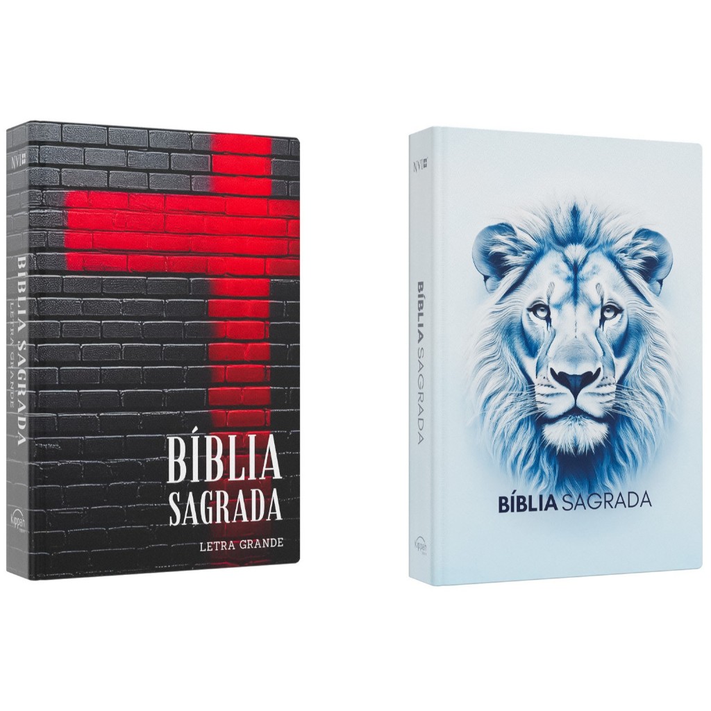 Kit Bíblia Sagrada NVI | Força da Cruz + Bíblia Sagrada NVI | Leão Luz em Oferta na Shopee