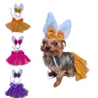 Fantasia de Páscoa coelhinho para pet orelhinha de Coelho para cachorro e gato em Oferta na Shopee