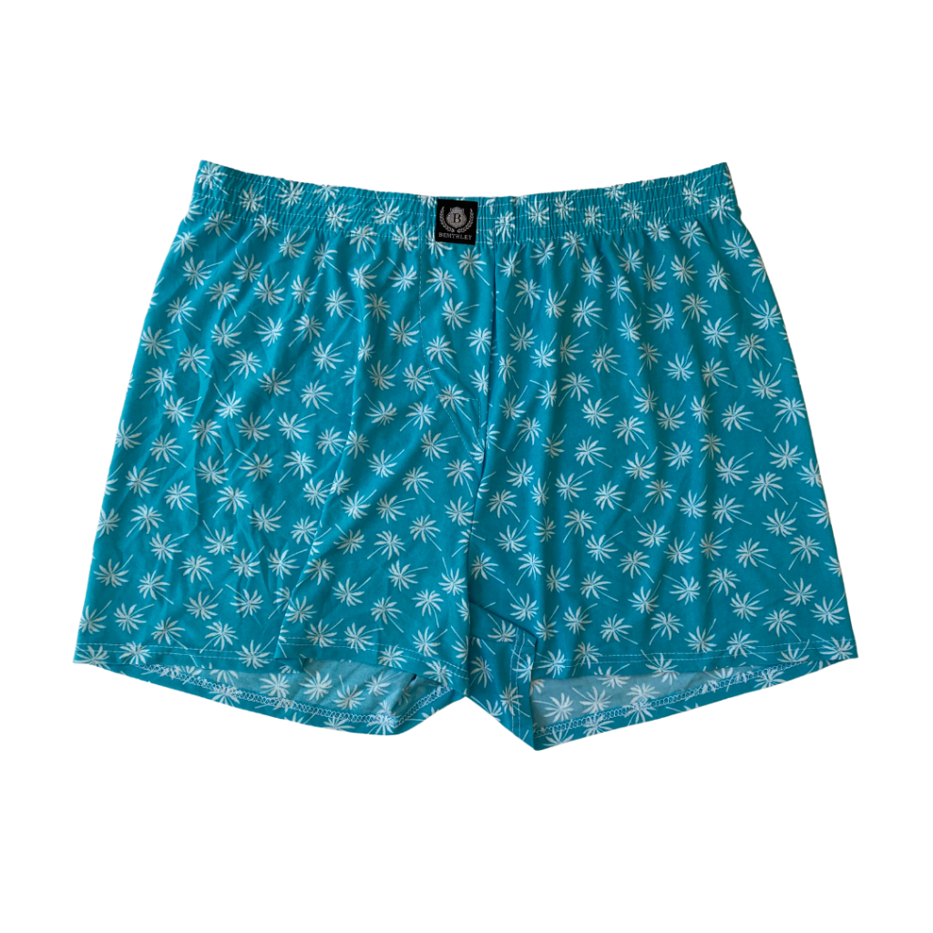 Kit 6 Cuecas Samba Canção Liganete Estampada Cueca Adulto Masculino Bemthley em Oferta na Shopee