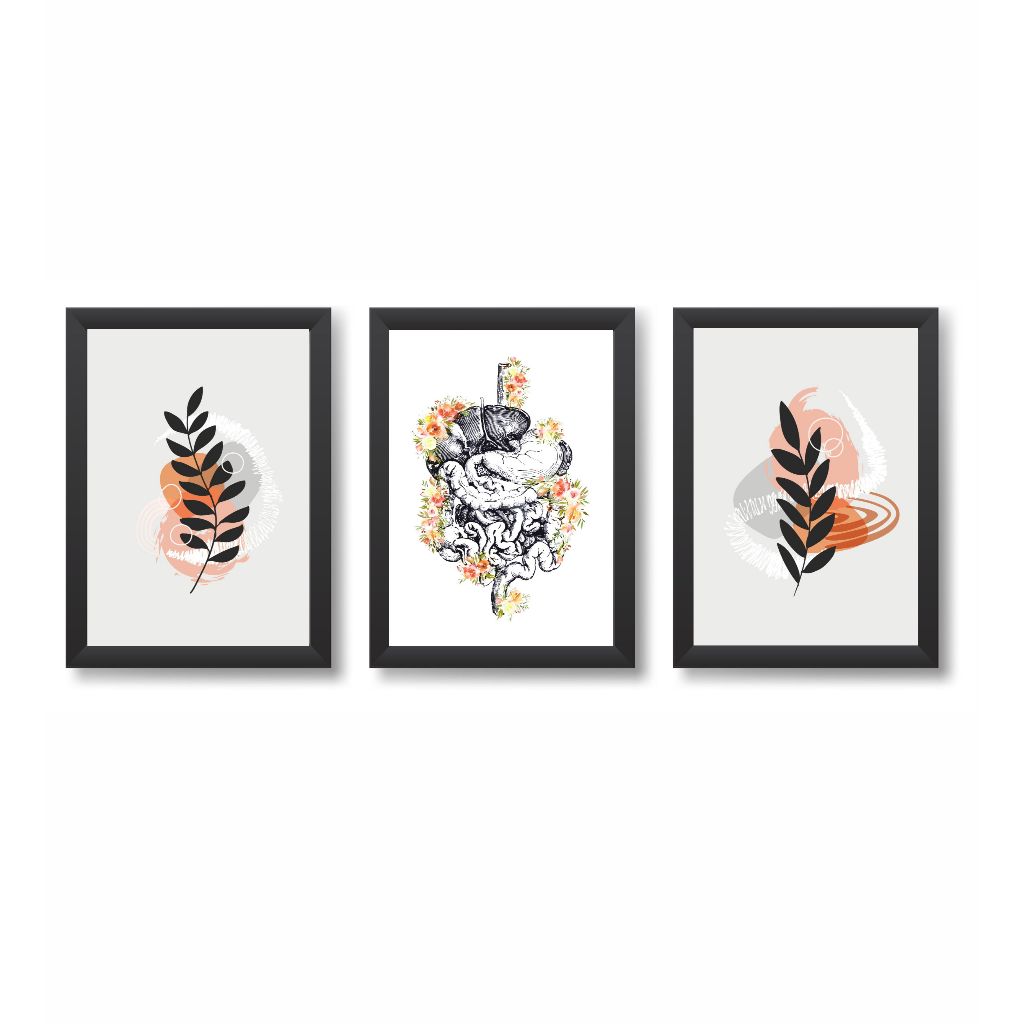 Kit 3 Quadros Decorativos Sistema Digestivo Molduras 20x30cm Madeira Vidro Cor Pretas