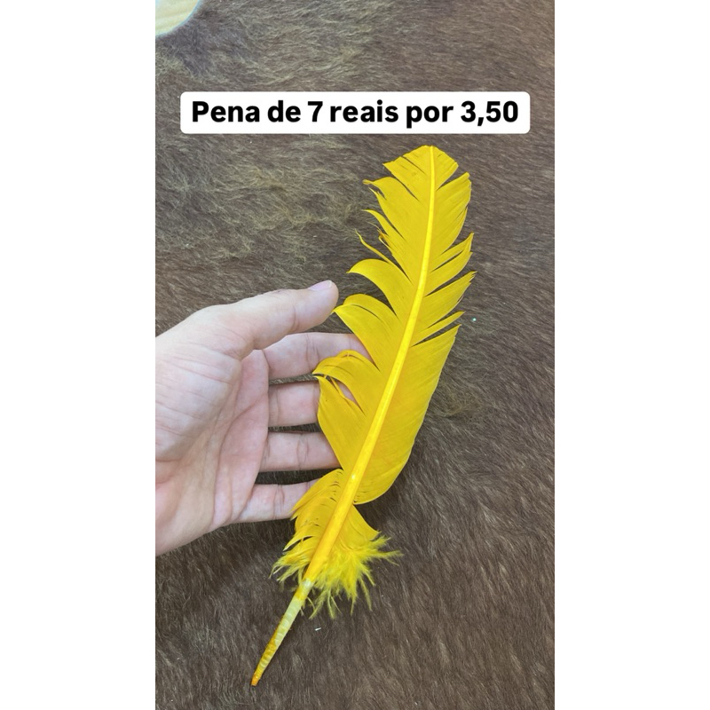 penas de pato promoção