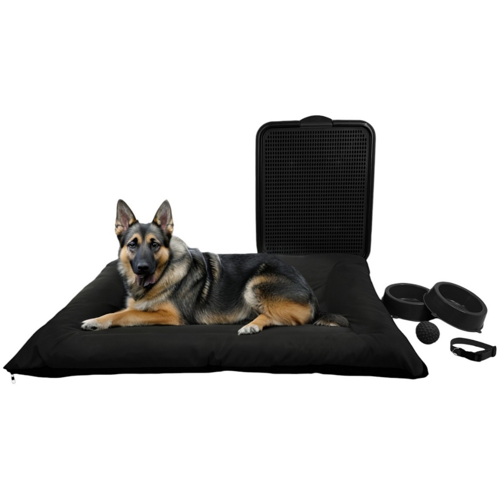 Kit Cama Futon Pet Grande Sanitário Comedouros Coleira Bola em Oferta na Shopee