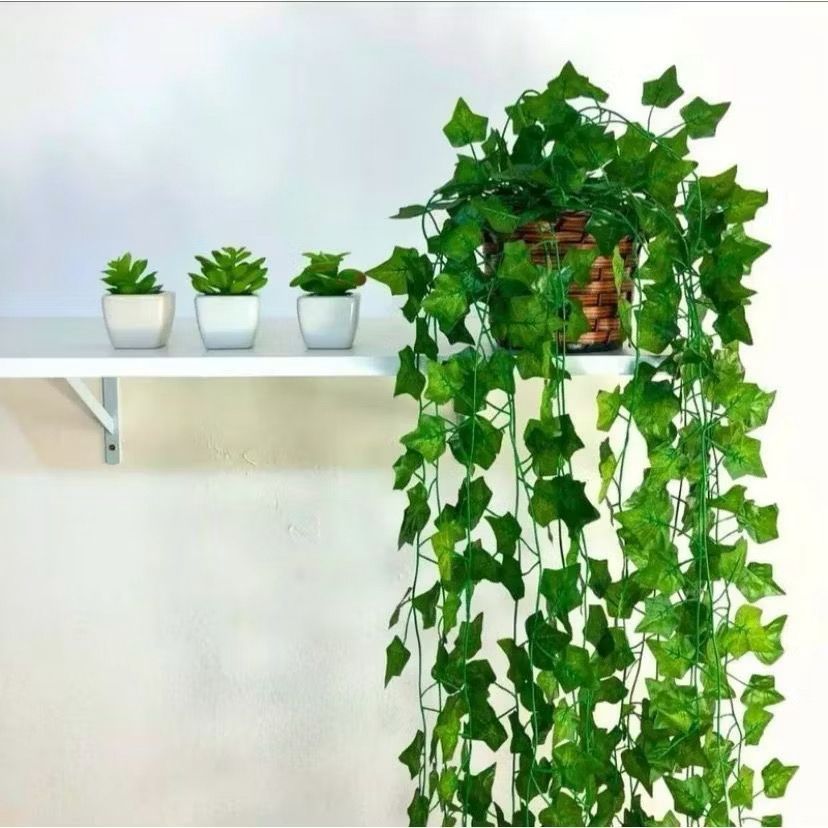 Arranjo c/ 3 Trepadeira Folha de Hera + Vaso Trançado Marrom