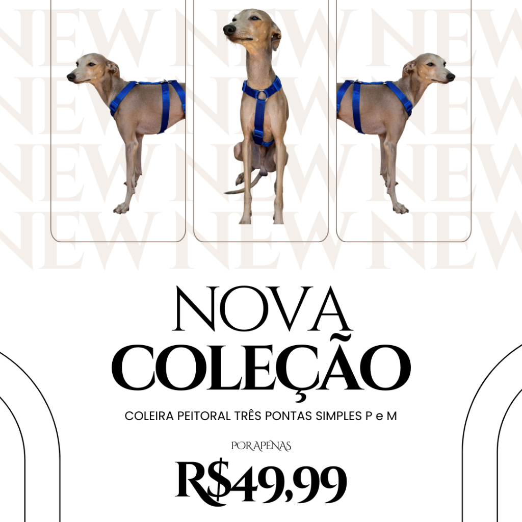 COLEIRA PARA GALGO ITALIANO OU WHIPPET PEITORAL TRÊS PONTAS SIMPLES P e M em Oferta na Shopee