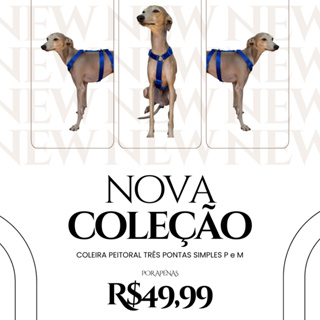 COLEIRA PARA GALGO ITALIANO OU WHIPPET PEITORAL TRÊS PONTAS SIMPLES P e M em Oferta na Shopee