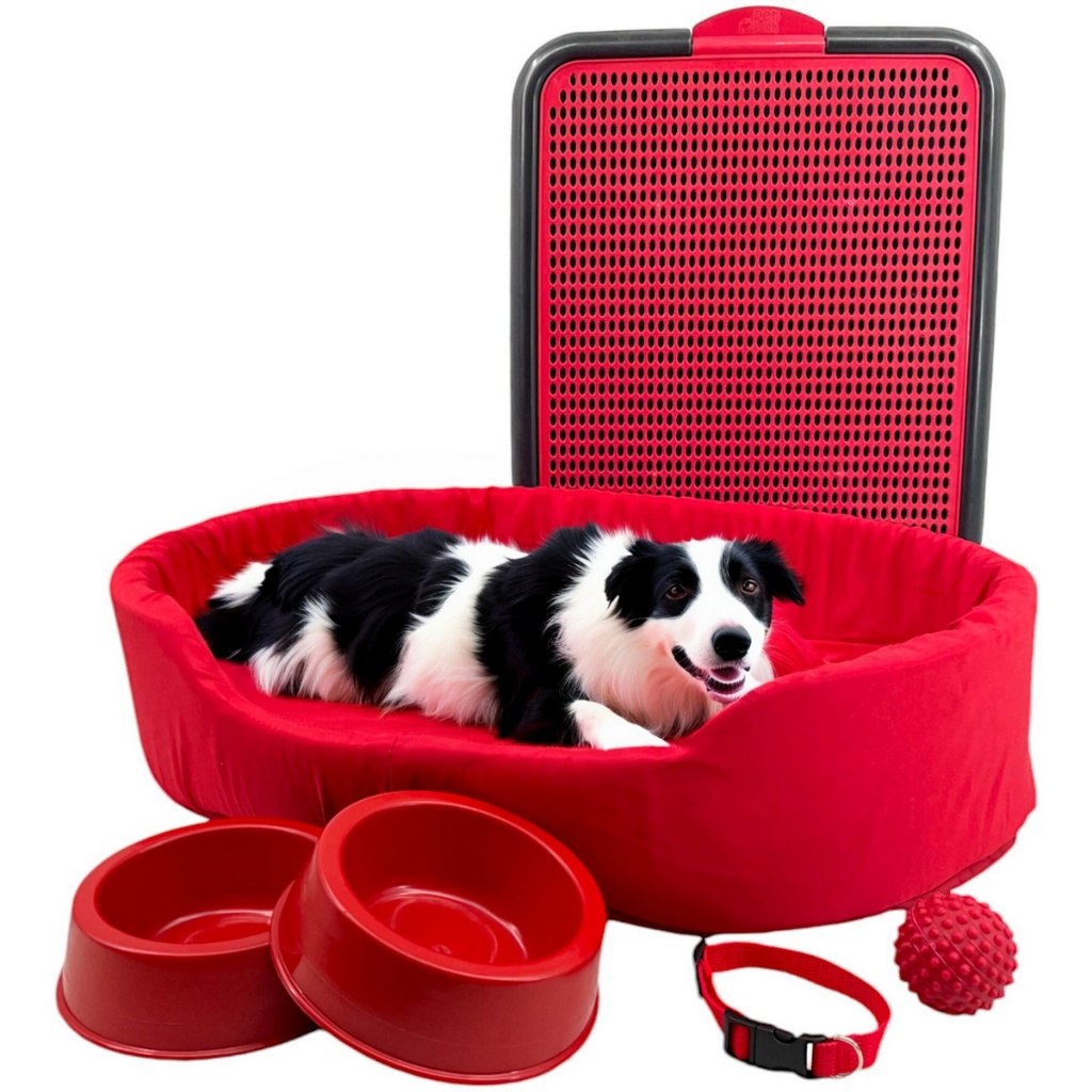 Kit Cama Europa Pet Grande Sanitário Comedouro Coleira Bola