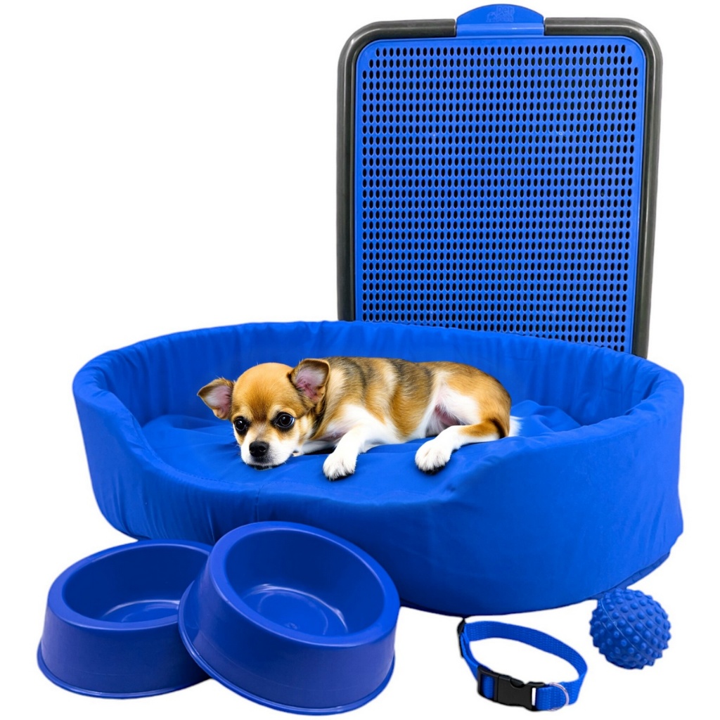 Kit Cama Europa Pet Pequeno Sanitário Comedouro Coleira Bola