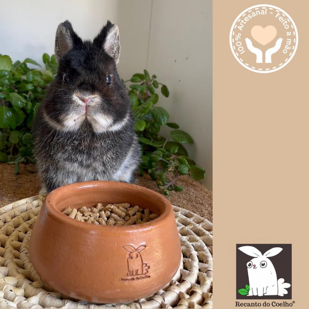 Comedouro de Barro Artesanal para Coelho em Oferta na Shopee