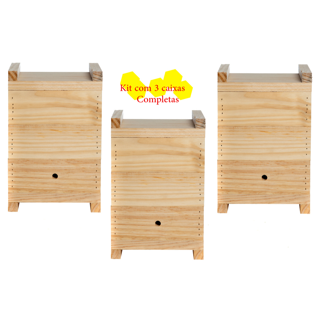 Kit 3 Caixas De Abelhas sem Ferrão Asf Jataí Mirim Modelo Inpa Completa 10x10cm de alta qualidade