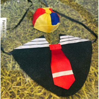 Conjunto Kiko para pet - Bandana + chapéu  cachorro, gato, em Oferta na Shopee