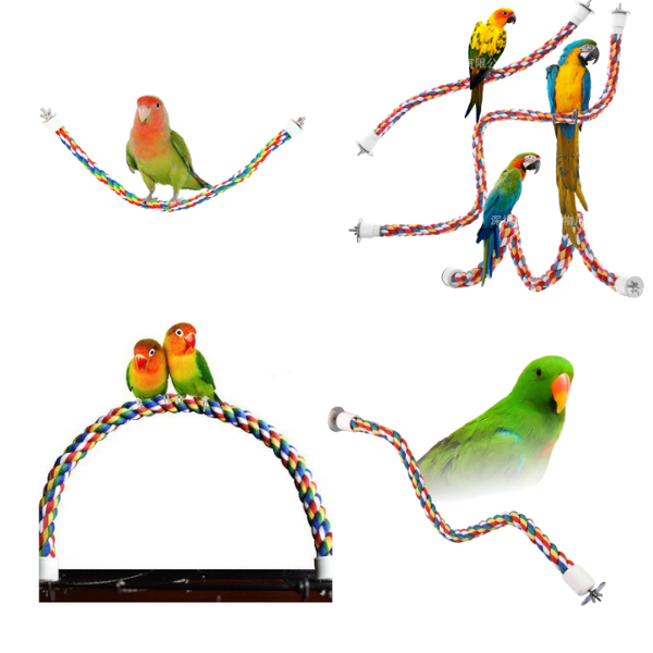 Papagaio Colorido: Onde Comprar | BuscaProdutos