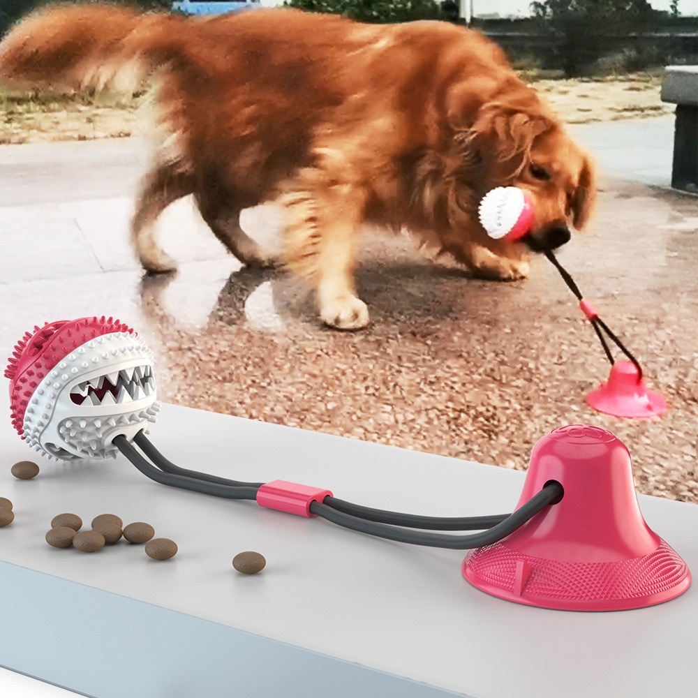 Bola de Brinquedo Interativa Molar Slow Food com Vazamento para Cachorro Golden Retriever e Labrador em Oferta na Shopee