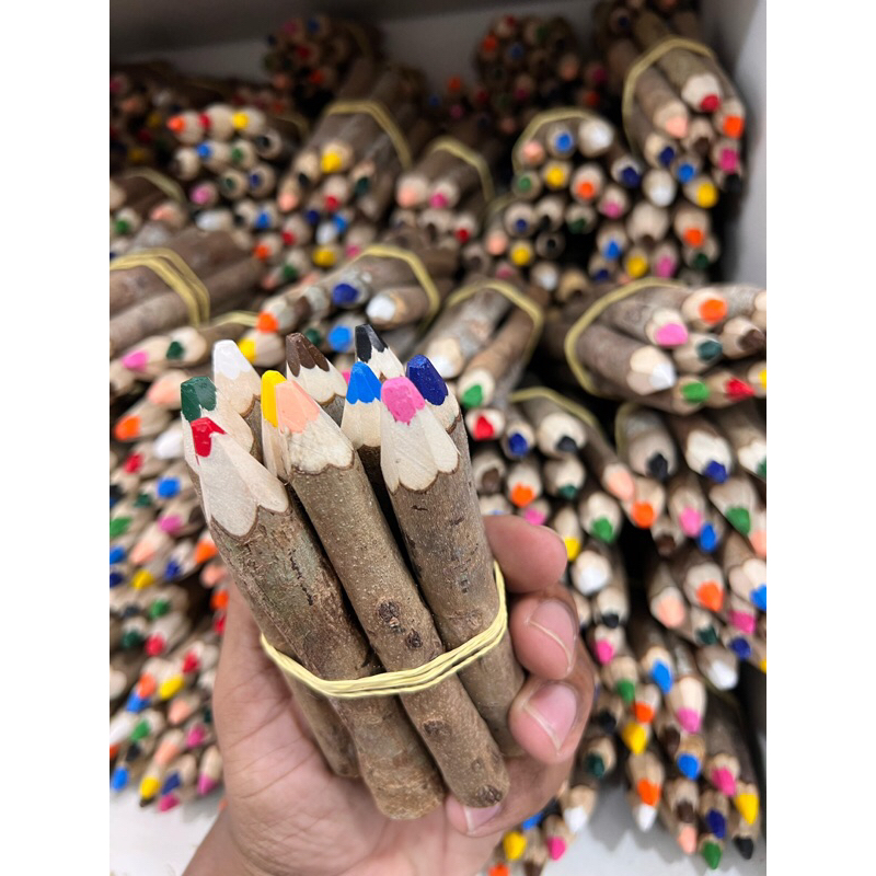 Kit 10 Lapis de cor Rustico Escolar Reflorestamento Eco Sustentável