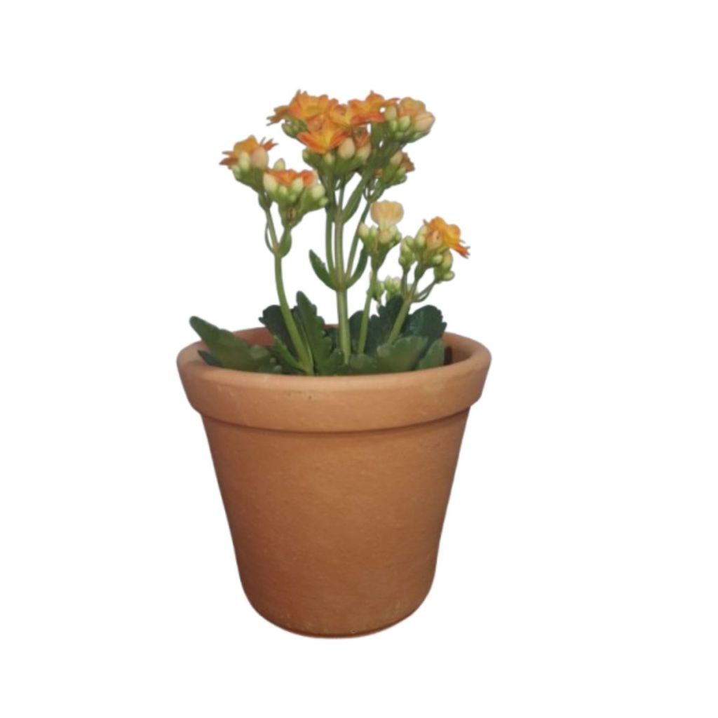 Vaso De Barro Cerâmica 12x11cm para Jardim Flores (kit C/ 5un)