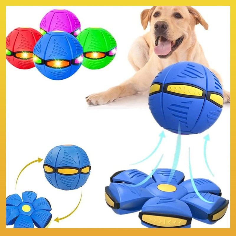 Bola Maluca Voadora Disco Mágica Grande com Led Transforma em Disco Voador Bola Brinquedo Pet