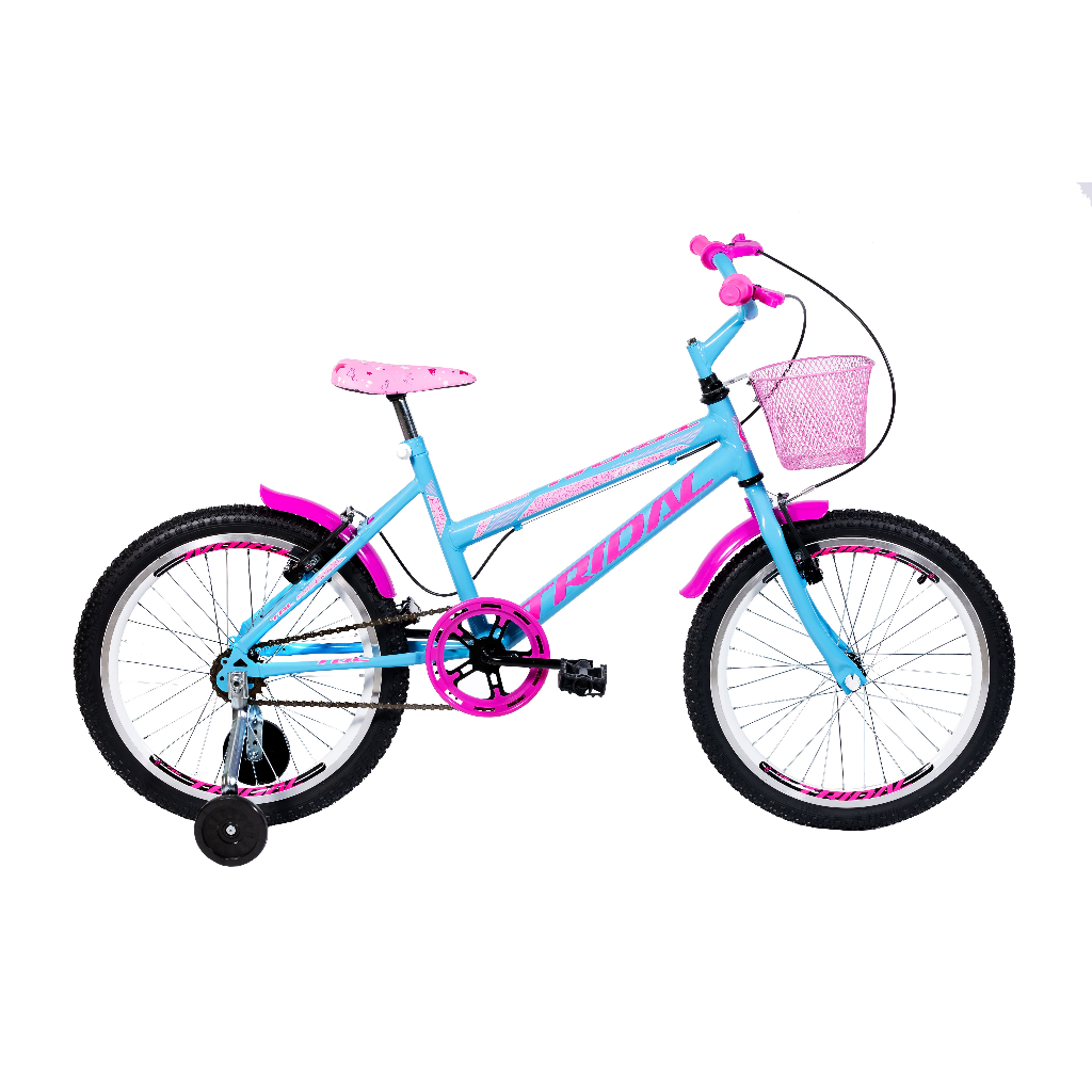 Detalhes do Bicicleta Infantil Aro 20 Tridal Feminina com Roda Lateral
