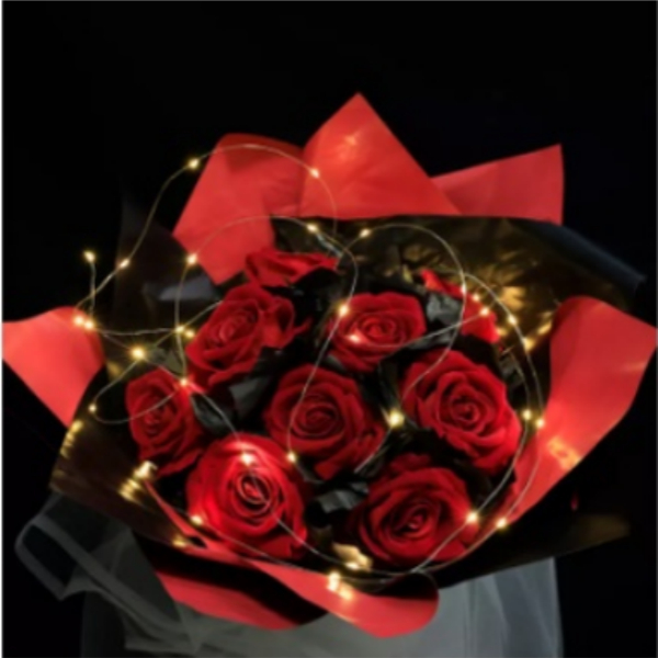 30 Fio Luzes De Fada Led 2 Metros Para Festa Em Casa De Casamento Decoração De Natal