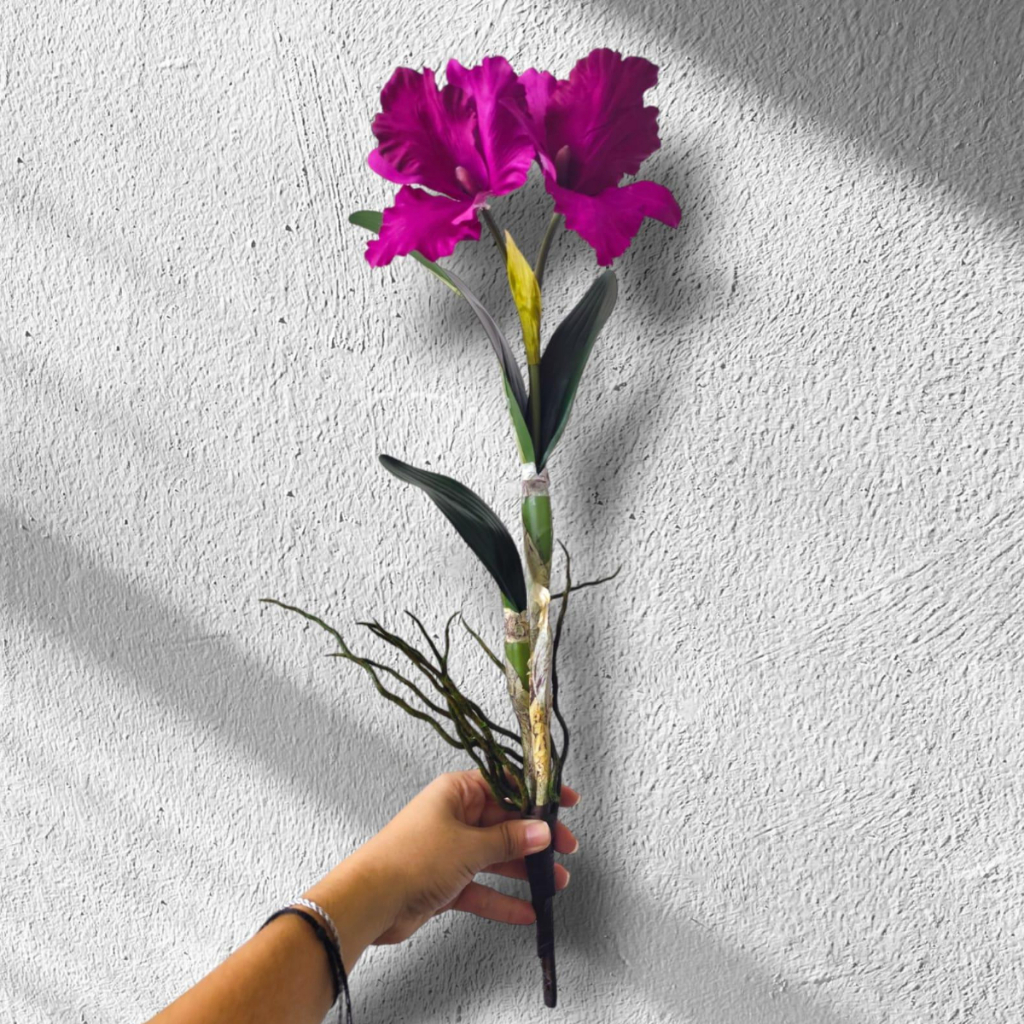 Brilliance Flor: Onde Comprar | BuscaProdutos