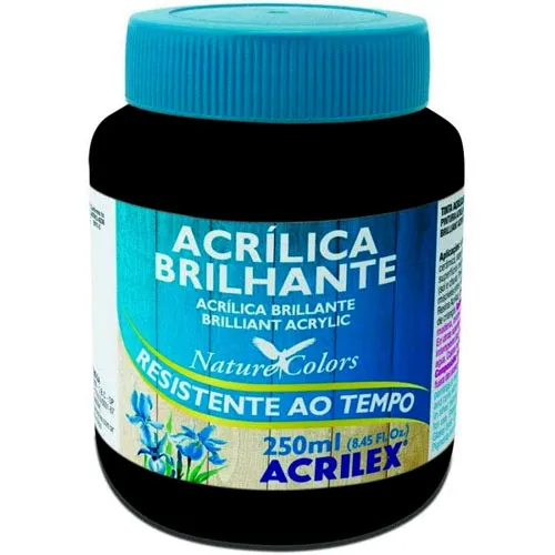 Tinta Acrílica Brilhante 250ml