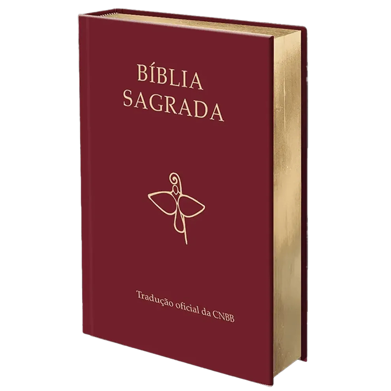 Bíblia Catolica Cnbb: Onde Comprar | BuscaProdutos