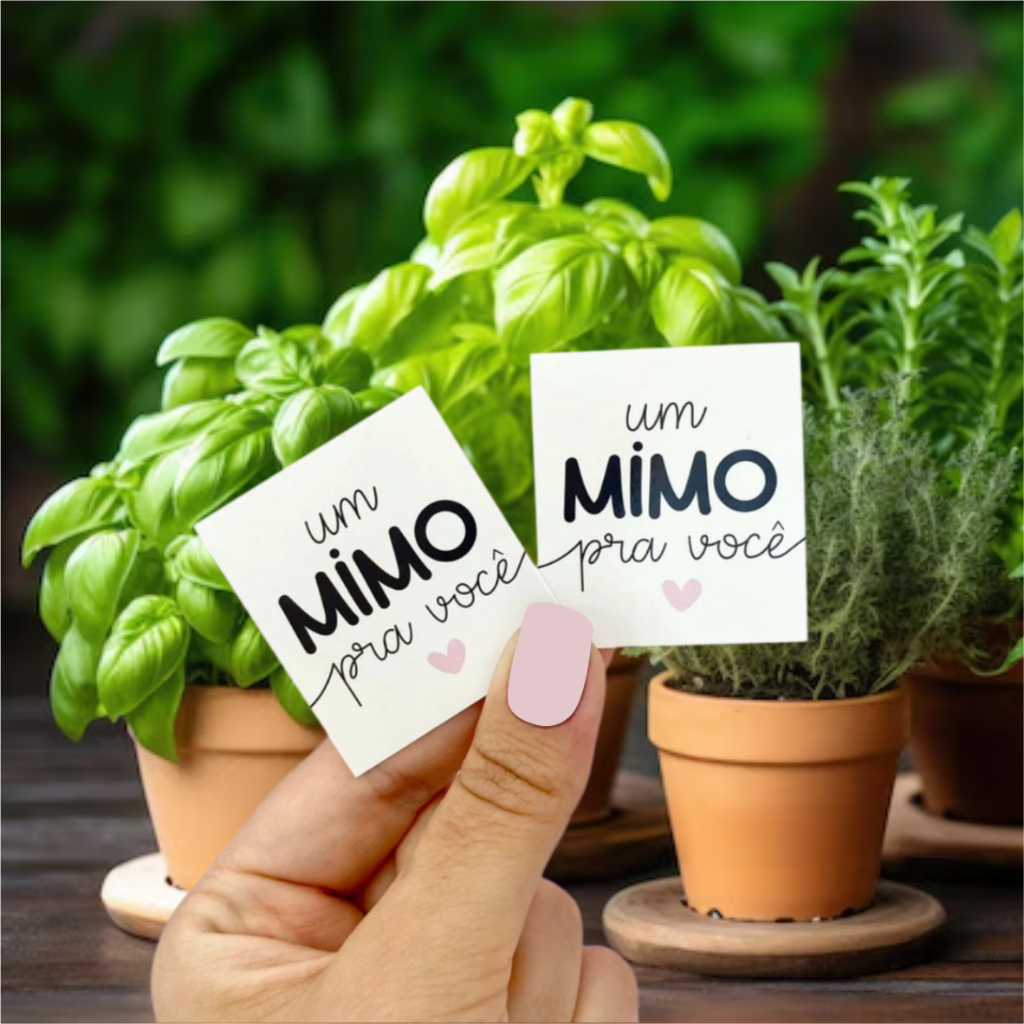 40 - 240 Unidades Mini Cartão Agradecimento para seu cliente Frase Um Mimo para você 4x5cm em Oferta na Shopee