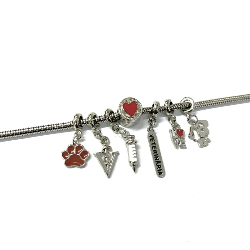 Berloques / pingente linha veterinária - patinha - injeção - coração vermelho - love - cachorro dog